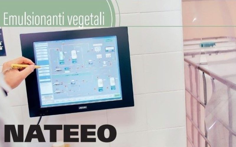 Nateeo and its expertise in vegetable emulsifiers